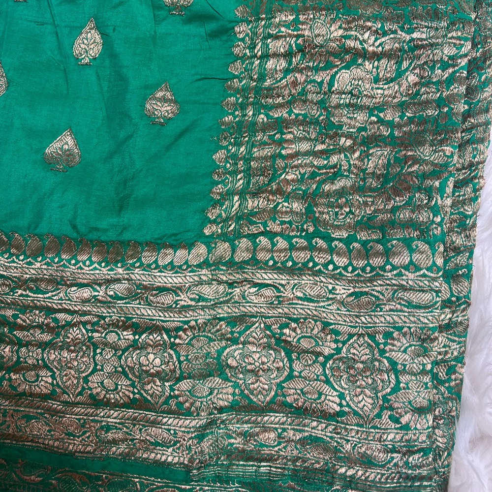 Vintage Green and Gold Banaras Indian Saree